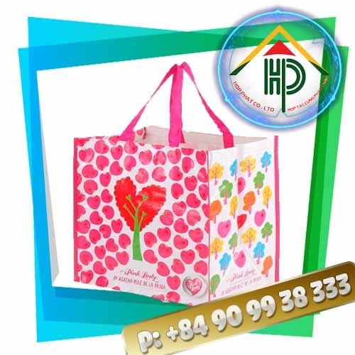 PP Woven Laminated Shopping Bag