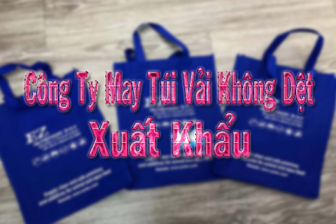 công ty may túi vải không dệt xuất khẩu