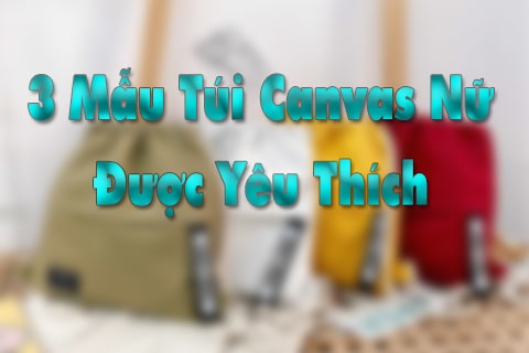 3 mẫu túi canvas nữ được yêu thích 2020