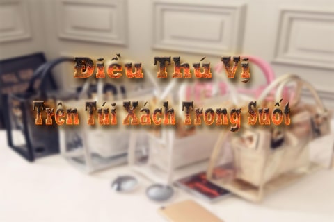 điều thú vị trên túi xách trong suốt