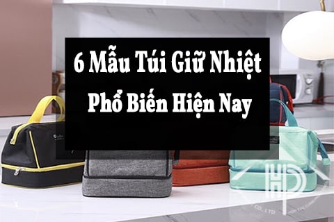 6 mẫu túi giữ nhiệt phổ biến hiện nay