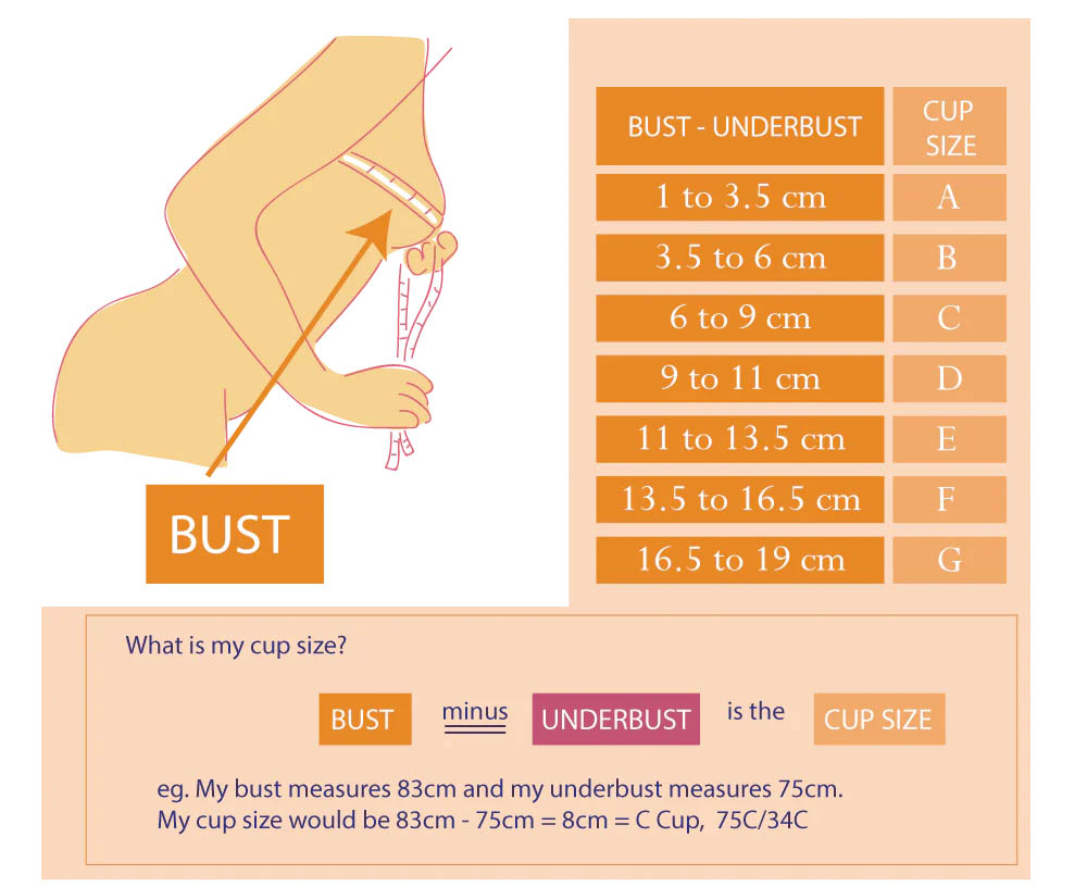 Bust size chart là gì