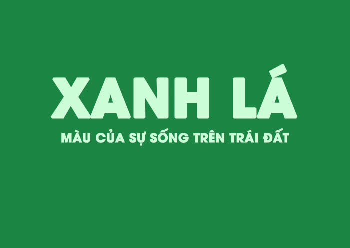 Tuổi quý sửu hợp màu gì năm 2021? Xanh lá cây tươi mát, tích cực