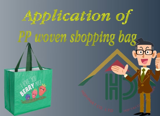 Application of PP woven shopping bag