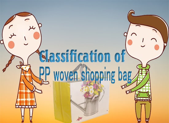 Classification PP woven shopping bag