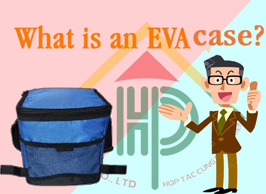 What is an eva case