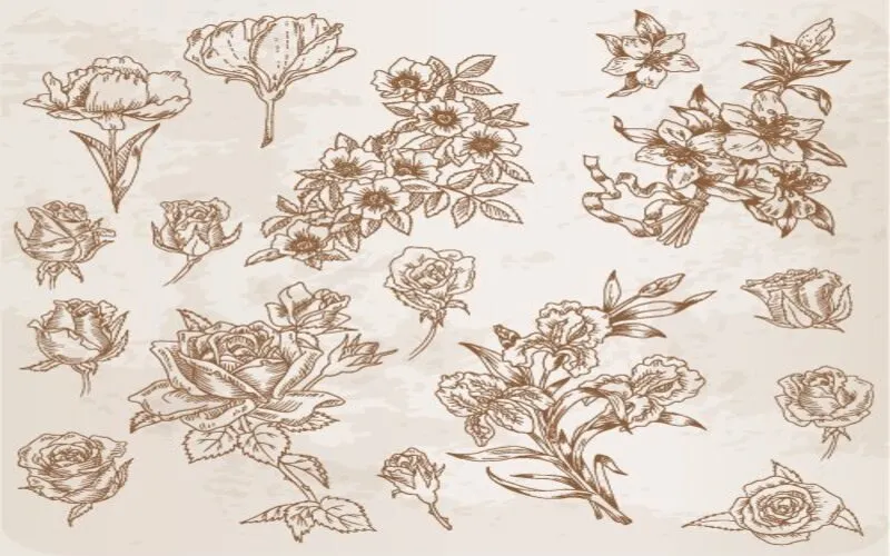 họa tiết vẽ tay