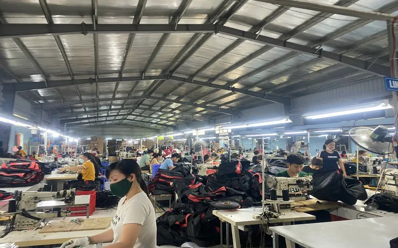 Hệ Thống Phân Phối và Vận Chuyển Balo: Hướng Dẫn Toàn Diện 2025 Kênh phân phối trực tiếp