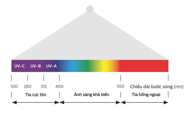 Độ bền màu và chống UV Độ bền màu và chống UV