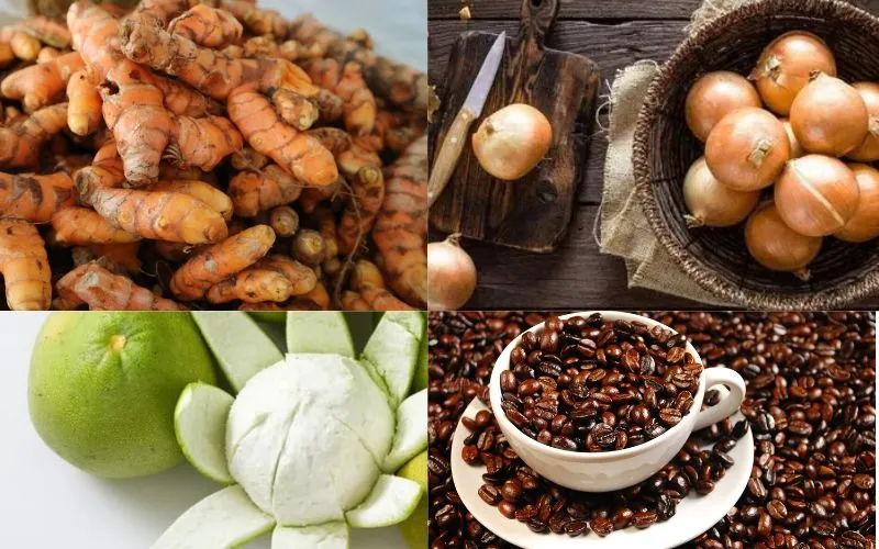 7 Cách Nhuộm Màu Túi Vải Đay Siêu Dễ Tại Nhà Nguyên Liệu Nhuộm Tự Nhiên