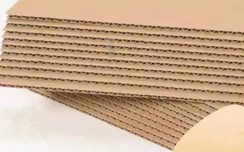 Phụ Kiện Hỗ Trợ Thiết Yếu
