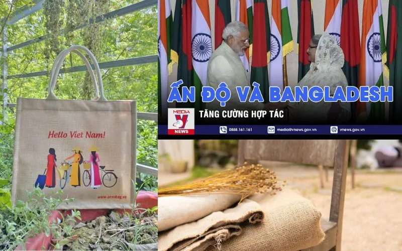 Nguồn Gốc Của Túi Vải Đay Từ Nông Nghiệp Đến Thời Trang Sự Du Nhập Và Phát Triển