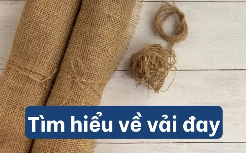 What is Jute Fabric? In-Depth Analysis of Sustainable Fashion Material 2025 Jute Fabric