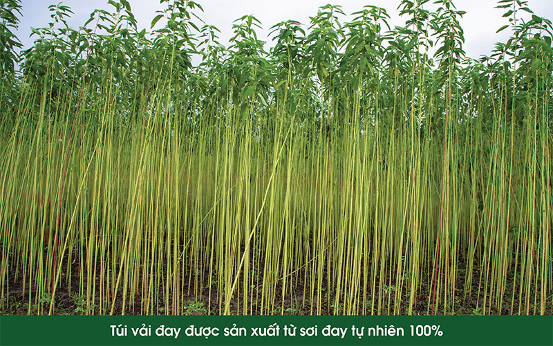 Túi vải đay được sản xuất từ sợi đay tự nhiên