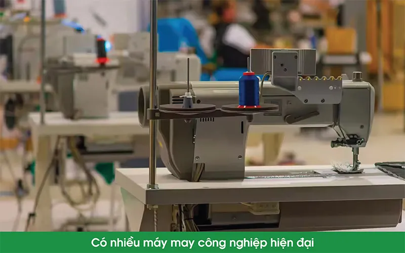5 Tiêu Chí Vàng