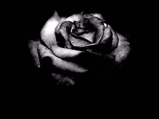 Black mystery