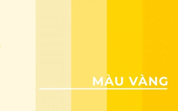 Brilliant colors of yellow shades Brilliant colors of yellow shades