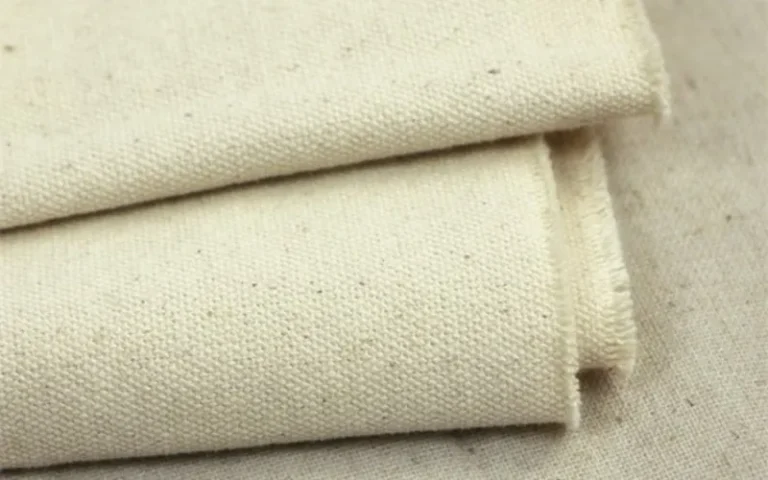 Canvas vs Polyester