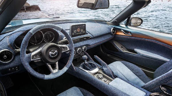 Denim fabric for car interiors