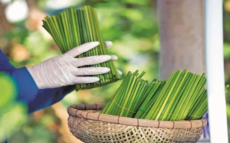 Green Consumption Trends Green Consumption Trends