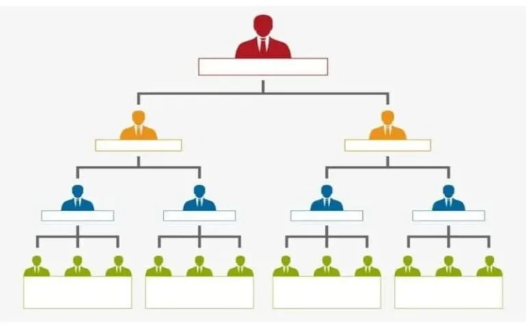 In-depth Training Program In-depth Training Program