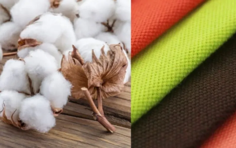 Jute Fabric vs Cotton Jute Fabric vs Cotton