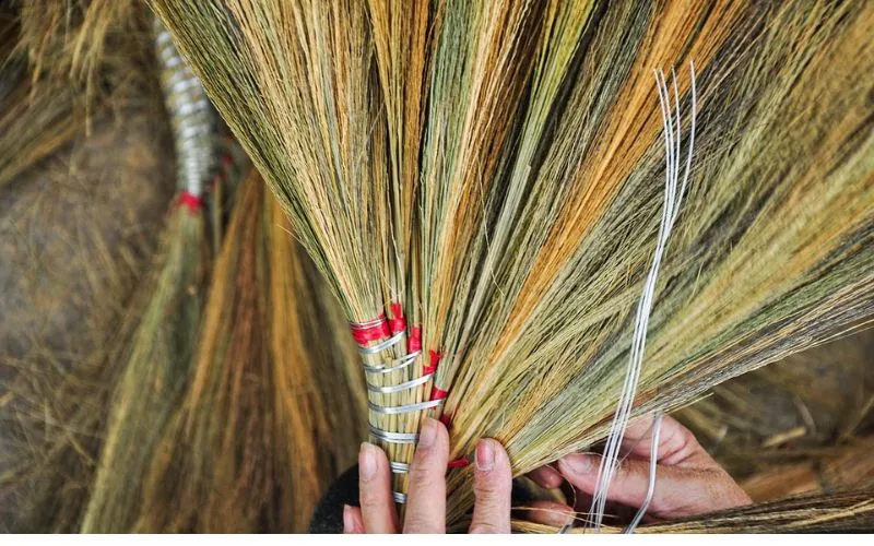 Origin from Swiss flax plants