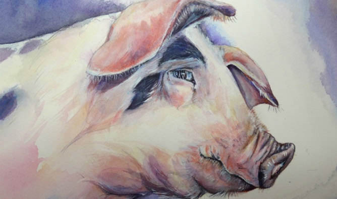 What colors suit Pig zodiac in 2022