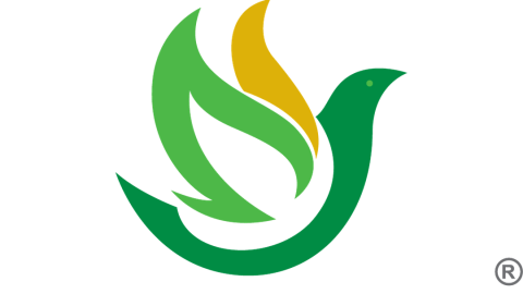 Senior Logo