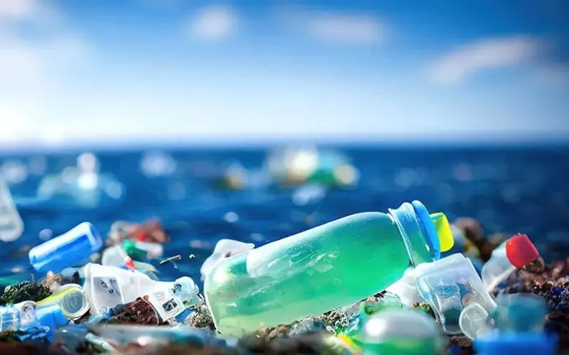 Sustainable Environmental Value Sustainable Environmental Value