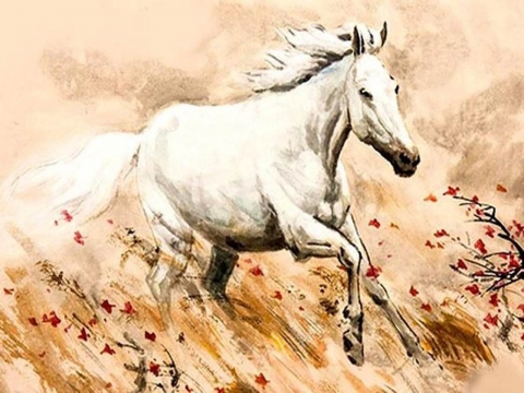 What colors suit 1966 Horse year What colors suit 1966 Horse year