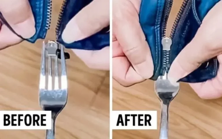 Zipper Sewing Techniques for Bags