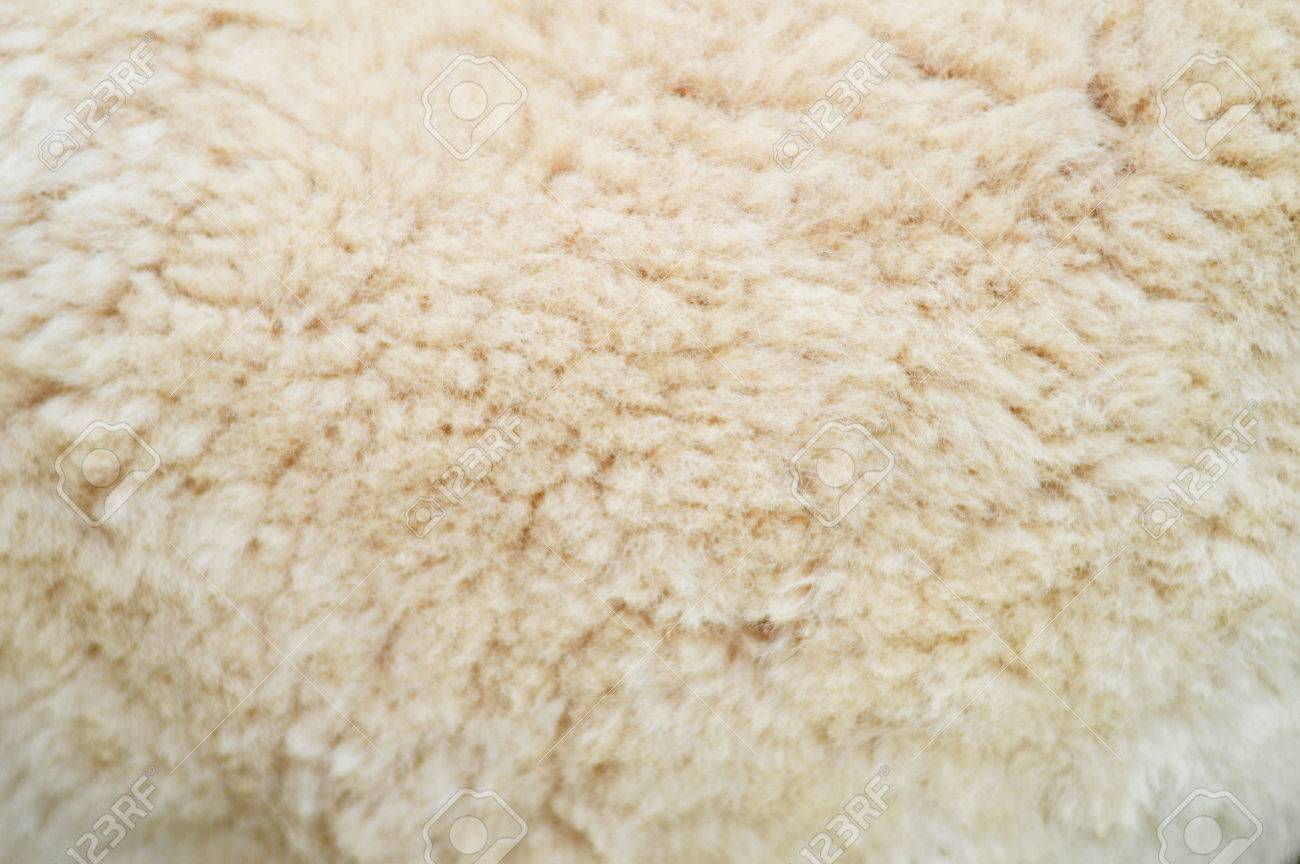 What Is Wool Fabric? Origins, Applications, Types of Wool Fabric What Is Wool Fabric? Origins, Applications, Types of Wool Fabric