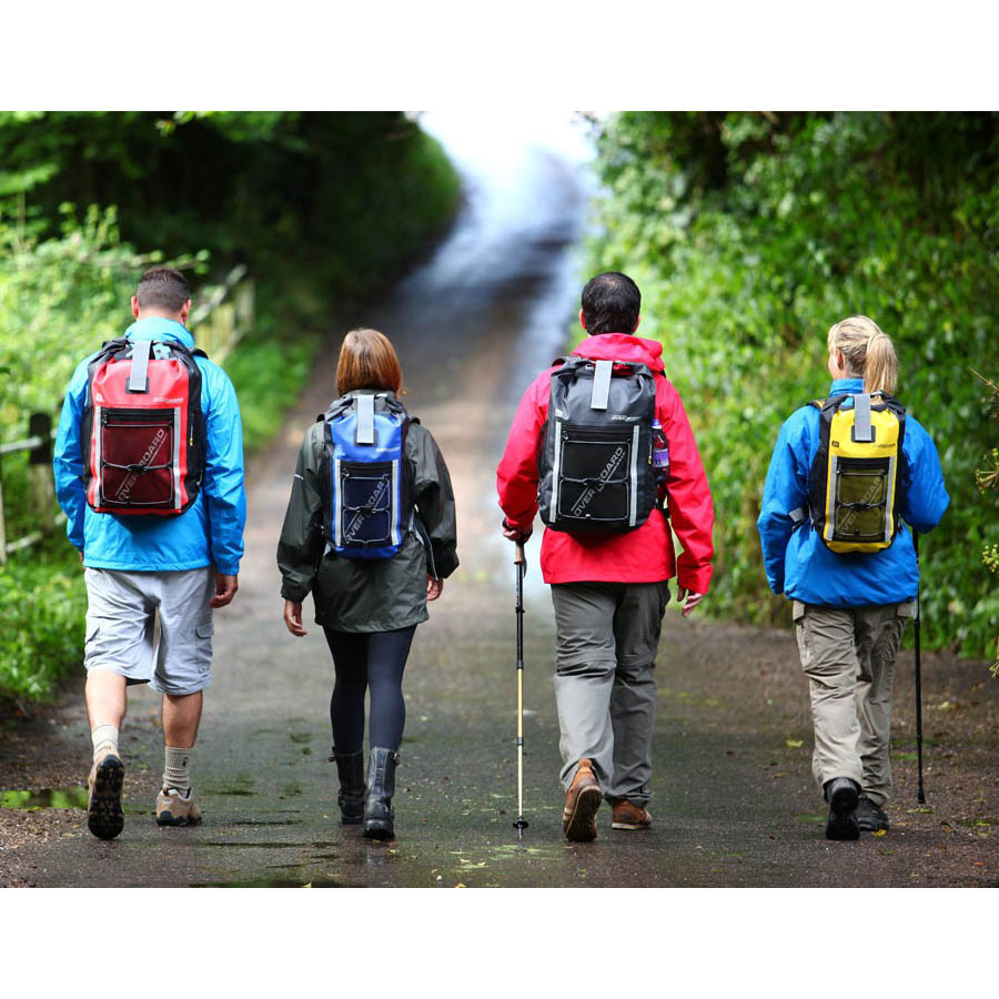 Online Backpack Shopping