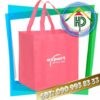 Expert Non-Woven Fabric Bag