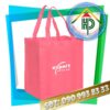 Túi Vải Không Dệt Kim Nhật Kim Nhat Non-Woven Fabric Bag