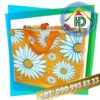 Laminated Non-Woven Fabric Bag