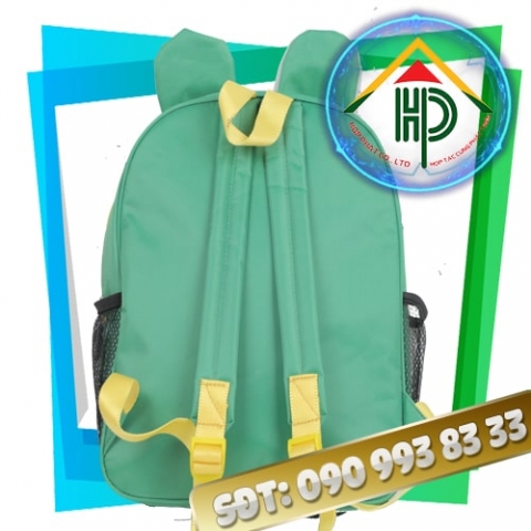 Thanh Nhan Private Kindergarten Backpack – 3D Cartoon Frog, Premium 600D Canvas Mc Queen Children's Backpack Front View