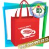 Non-Woven Fabric Bag Da Nang