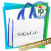 Non-Woven Fabric Bag Hai Phong