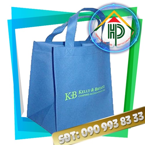 Túi Vải Không Dệt Có Sẵn Non-Woven Fabric Bag In Stock