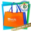 Non-Woven Fabric Bags Ho Chi Minh City