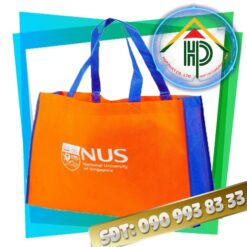 Non-Woven Fabric Bags Ho Chi Minh City
