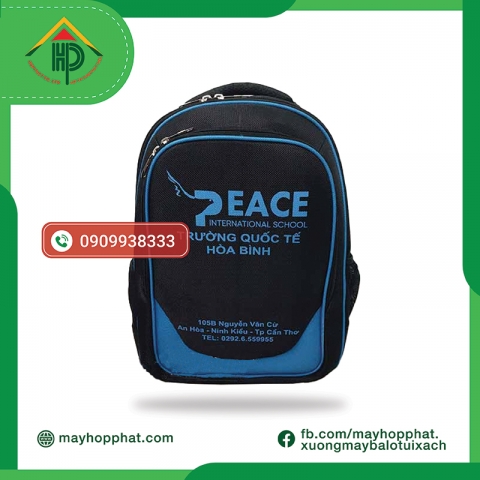 Premium Promotional Backpacks for Hoa Binh International School | May Hop Phat