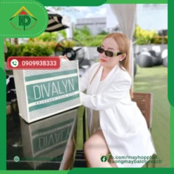 Diva Lyn linen bag