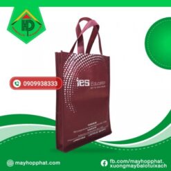 ies non woven fabric bags 2