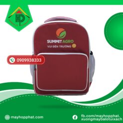 Premium Summit School Backpack | Custom Student Uniforms & Wholesale