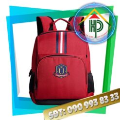 University Student Backpack | Premium Custom Academic Gear Manufacturing